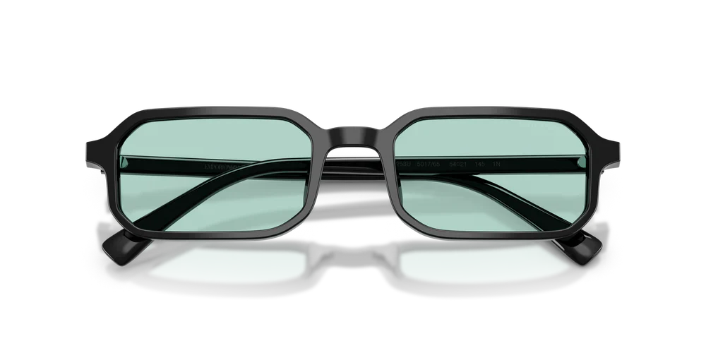 Emporio Armani EA4253U 501765-3