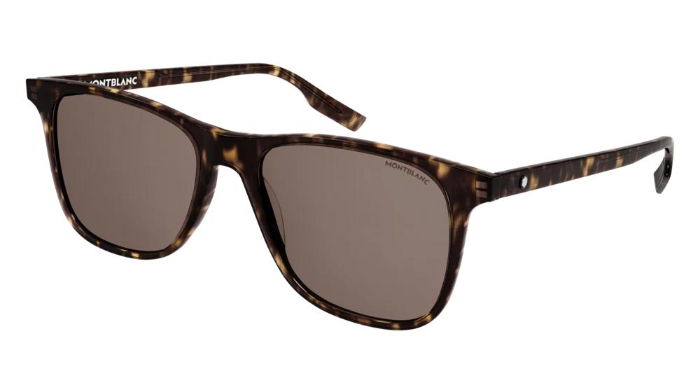 Sunglasses Montblanc Established MB0174S-002